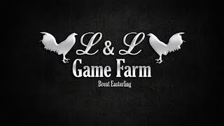 LampL GAMEFARM [upl. by Greenwood]