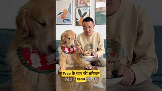 🐕Tobo के पापा की तबीयत खराब  mini wood toy  woodworking art skill  hand crafts shorts pets [upl. by Lisabet127]