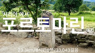 산티아고 순례길🇫🇷프랑스길 D35 Sarria👉Portomarín [upl. by Thordia]