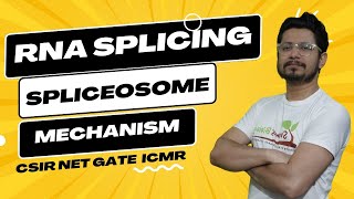 RNA splicing and processing  RNA splicing mechanism  spliceosome [upl. by Taro944]