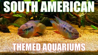 Setting Up South American quotBiotopequot Aquariums  40 and 20 Gallon tanks [upl. by Monjan40]