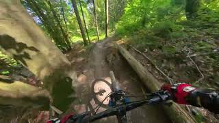 Trailpark Plesivec  Helena und Niki Enduro  Erzgebirge Vlog 16 [upl. by Kirat]