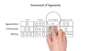 Ventilation to Perfusion Mismatch and Assessment of Hypoxemia [upl. by Ratcliff]