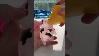 Testing the RAREST 1 FIDGETS from AMAZON 😱🤑🐄🧀 [upl. by Romy872]