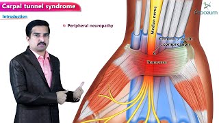 Carpal tunnel syndrome Anatomy Animation [upl. by Michon]