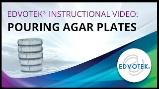 Pouring Agar Plates  Edvotek Video Tutorial [upl. by Eet]