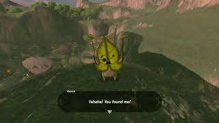 Korok seeds  Kakariko Village  Dueling Peak Tower 4546  Zelda BOTW [upl. by Guillaume]