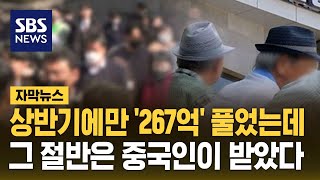 한국에서 죽을 때까지 받는 돈…267억의 절반은 중국인 몫 자막뉴스  SBS [upl. by Aenahs907]