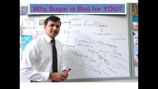 Why Sugar is Bad for You [upl. by Atnauqahs]