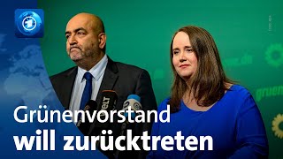 Nach Wahlniederlagen GrünenSpitze kündigt Rücktritt an [upl. by Rigdon]