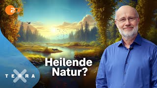 Harald Lesch  und die unterschätzte Klimachance  Terra X Harald Lesch Ganze TVFolge [upl. by Robertson]