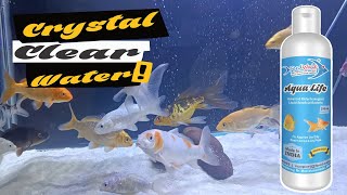 How To Create Beneficial Bacteria In Aquarium Fish Tanks  FeedWale Aqua Life [upl. by Loar]