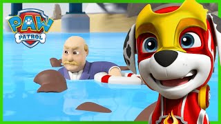 Mighty Pups save Adventure Bay from Harold Humdinger  PAW Patrol  Cartoons for Kids Compilation [upl. by Allisan]