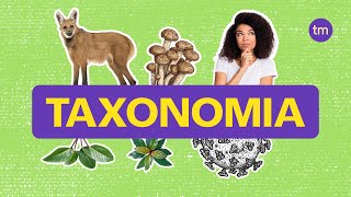 Taxonomia  Como classificar os seres vivos [upl. by Gina]