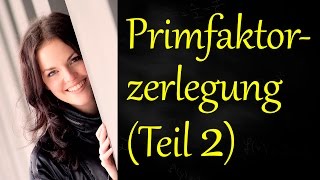 Primfaktorzerlegung Teil 2 Erklärung [upl. by Reede]