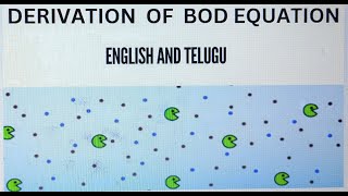 Derivation of BOD Equation [upl. by Collete756]