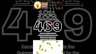 469  101 to a 1001 Fun Facts tennisball [upl. by Ardella]