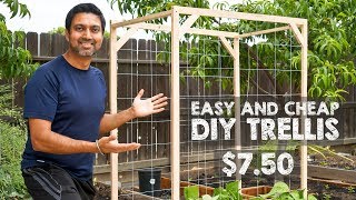 How to Make Easy and Cheap Trellis [upl. by Yrtnahc]