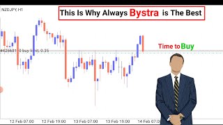 This is Why Always Bystra is the Best strategy in the forex market  Bystra nora [upl. by Noby]