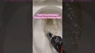 Removing toilet stains with a pumice stone – quick easy and satisfying CleanTips [upl. by Jasisa]