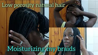 How to moisturize low porosity natural hair with LCO Method in braids  Moisturizing knotless braids [upl. by Thera]