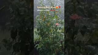 Relaxing Rain Musicമഴയുടെ സംഗീതം [upl. by Dub654]