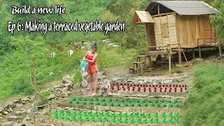 How to make a terraced garden to grow vegetables for the farm  farm life Ep6  Alone life [upl. by Lanod]