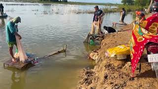 Unbelievable 200Kg Queen fishes Caught In Seine Net [upl. by Thomey]