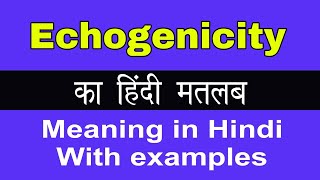 Echogenicity Meaning in HindiEchogenicity का अर्थ या मतलब क्या होता है [upl. by Isidora]