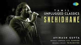 Snehidhane  Tamil Unplugged Classics  Alaipayuthey  A R Rahman  Avinash Gupta [upl. by Einrae919]