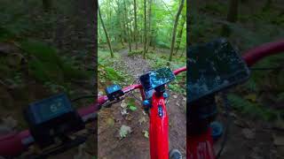 How About Chest Mount at very rough Enduro Trail [upl. by Rip]