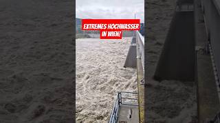 Extremes Hochwasser am 14092024 in Wien heavyrain unwetter viralvideo hochwasser foryou [upl. by Sirromed]