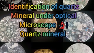 Quartz in thin section identification of quartz under optical microscope 🔬 quartz mineral quartz [upl. by Firman555]