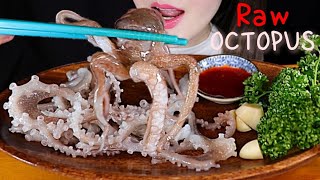 ASMR LIVE OCTOPUS 힘 빠짝빠짝 싱싱한 산낙지  접시도 들어올리겠  아직도 여전히 쌩쌩한 산낙지 ASMR MUKBANG [upl. by Fulton]