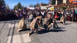 Coreografía mapuche fantasía homenaje [upl. by Allemap]