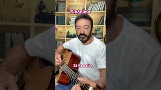 Sinônimo  Zé Ramalho cover musica mpbbrasil ramantic musicpop [upl. by Euhsoj]