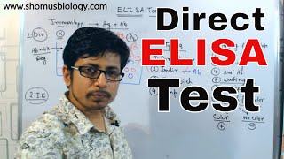 Direct elisa test procedure [upl. by Einnob]