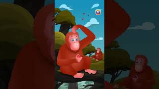 Asian Elephant Song Orangutan Bonobo Shorts ChuChuTV KidsSongs animalshorts endangeredanimals [upl. by Acimad]