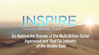 The Smell of Success  The Billion Dollar Agarwood and Oud Oil Markets of the Middle East [upl. by Jaclyn802]