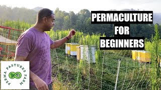 Permaculture Demystified Your Essential Guide for Beginner Green Thumbs [upl. by Nosreffej841]