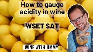 How to Judge Acidity with the WSET Level 3 Standard Approach to Tasting [upl. by Arratoon]