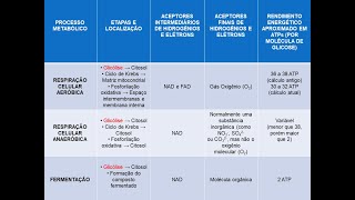 COMPARAÇÃO ENTRE RESPIRAÇÃO AERÓBICA ANAERÓBICA E FERMENTAÇÃO [upl. by Isabelita]