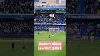 Chelsea vs Brighton 𝗟𝗶𝘃𝗲 Score Updates 42Chelsea Brighton EPL followme [upl. by Eicram]