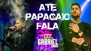 Gabriel Zan  ATÉ PAPAGAIO FALA  Clipe Oficial [upl. by Stronski468]