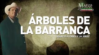 Marco Flores y La Jerez  Árboles de la barranca LETRA [upl. by Adnoel]