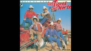 Los tigres Del norte Mix De Viejitas Norteñas [upl. by Zetnod747]