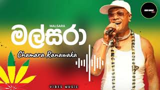 Malsara මල්සරාchamararanawaka chamararanawakaofficial viralvideo subscribe support like [upl. by Aihsetal941]