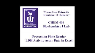 CHEM 406  Processing LDH Activity Assay Data with Excel [upl. by Arym952]