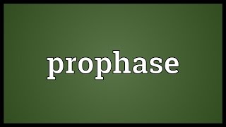 Prophase Meaning [upl. by Enylrac]