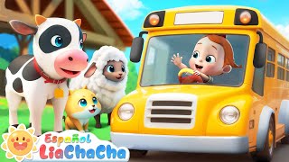 Las Ruedas del Autobús  Versión Animales de Granja 2  LiaChaCha en Español  Canciones Infantiles [upl. by Brett20]